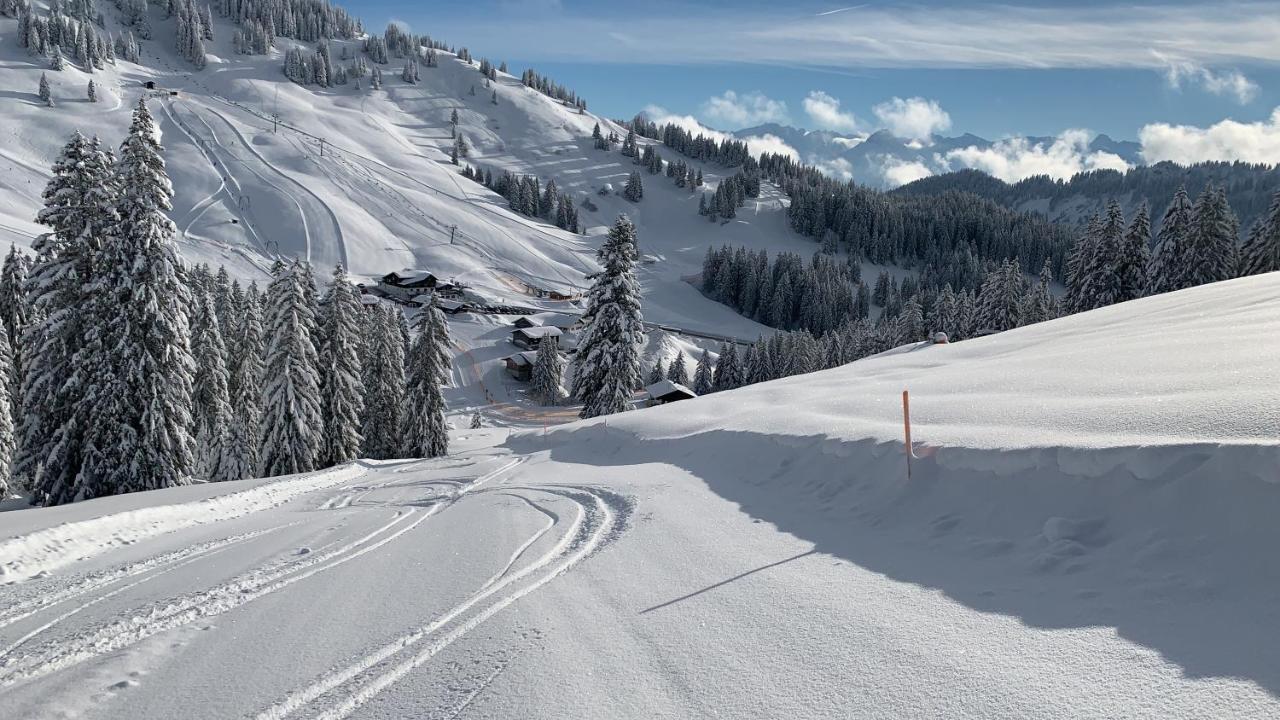 Ferienwohnung Am Goldbach Pool Sauna Obermaiselstein Luaran gambar